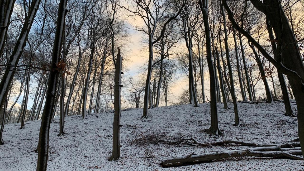 Ruhiges Ferienhaus Wandlitz Bagian luar foto